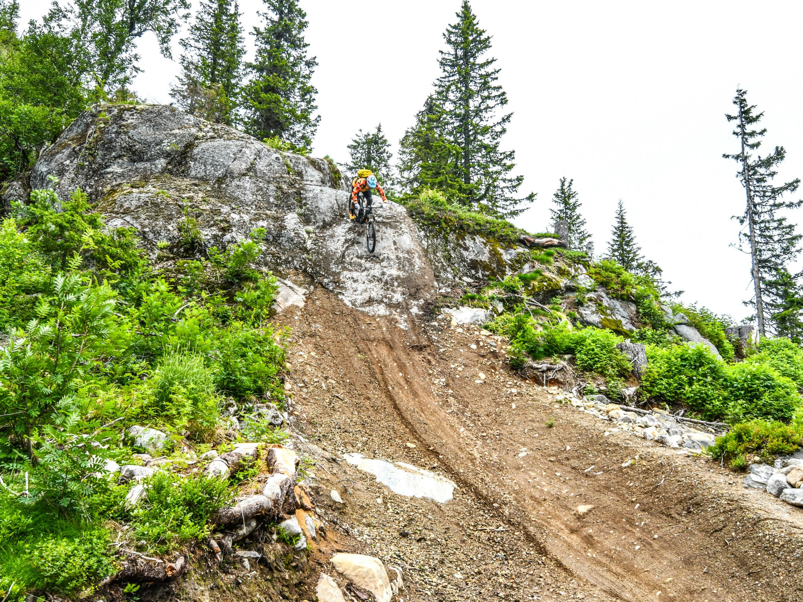 Mountain biker navigating steep rocky trail amid forest terrain, illustrating 