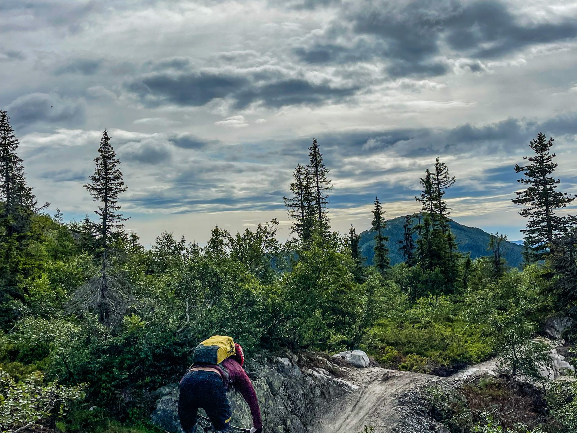 Mountain biker riding down a rugged trail, exploring new paths in nature, symbolizing the next frontier, possibly involving Hans Rey activities. Mountain Bike United.