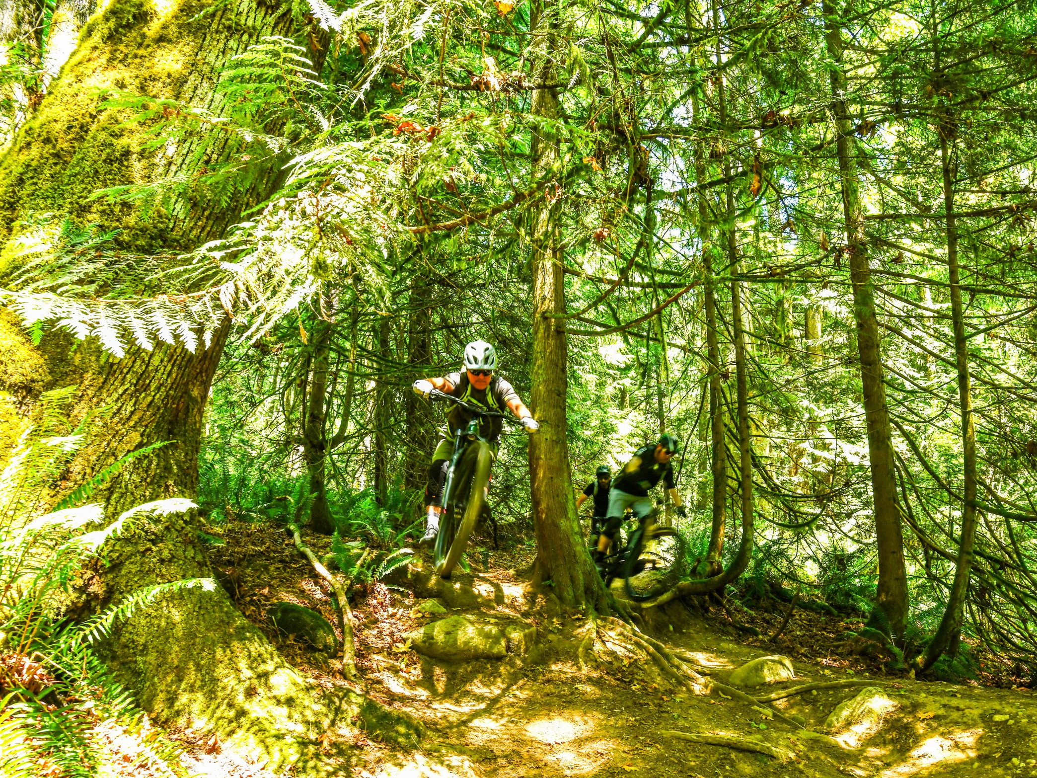 Mountain biker jumps over a trail in a forest. Ideal for outdoor enthusiasts and Hans Rey fans seeking thrilling biking experiences. Mountain Bike United.