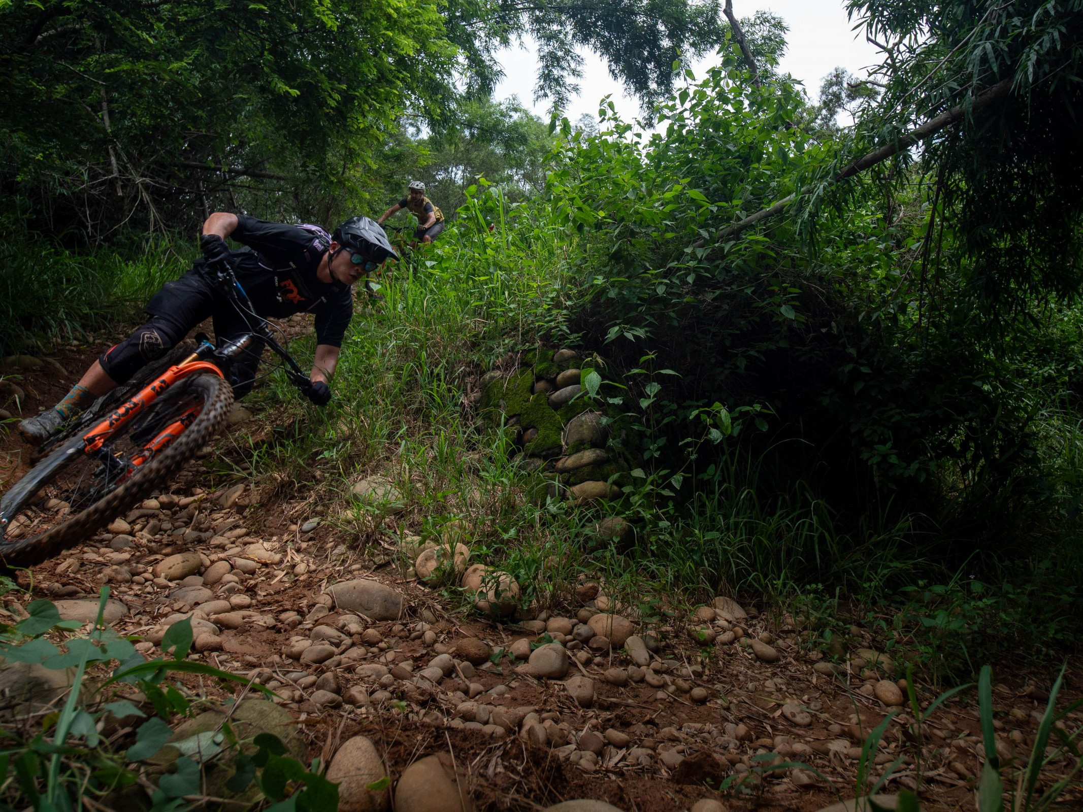 Mountain biker navigating a rocky trail in a forest, showcasing skills featured in 